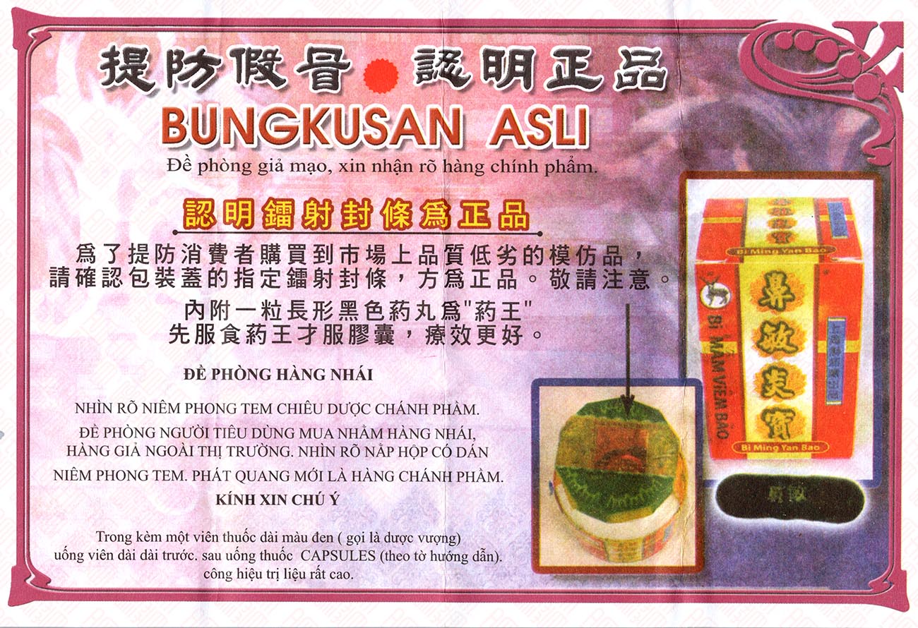 Bi Min Yan Bao 鼻敏炎宝 Indochina Ginseng 印支参茸