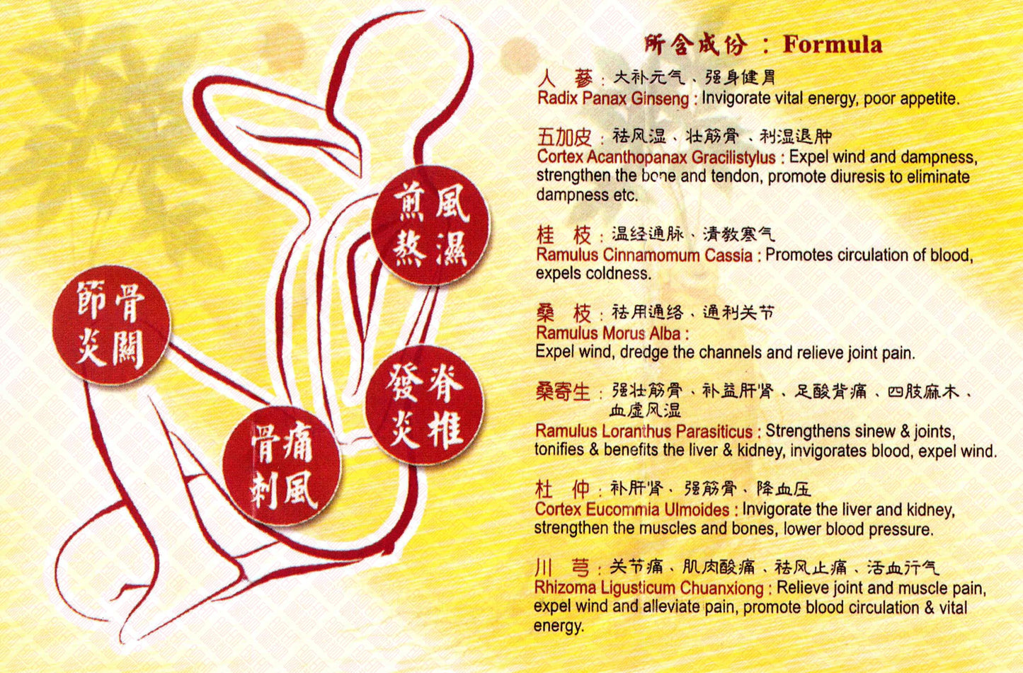 Ginseng Plus Feng Shi Wan 复方特效人参风湿丸 Indochina Ginseng 印支参茸