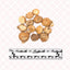 南星 Nan Xing Rhizoma arisaematis