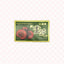 Japanese Reishi 日产纯灵芝 マンネンタケ UPC 022222330833 Indochina Ginseng 印支参茸