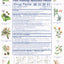 Pain Relieving Medicated Plaster 跌打止痛膏 UPC 049987014266 Indochina Ginseng 印支参茸
