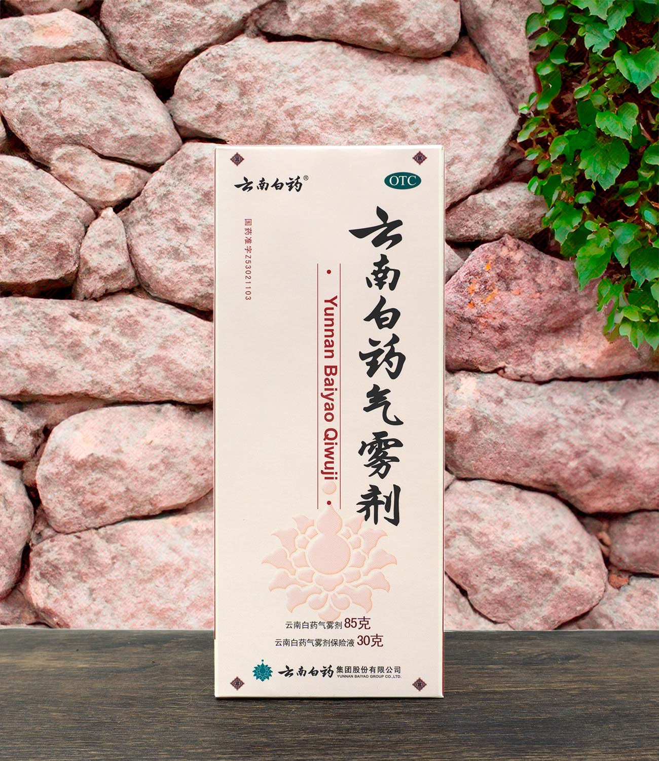 Yunnan Baiyao Aerosol 云南白药气雾剂 – Indochina Ginseng 印支参茸
