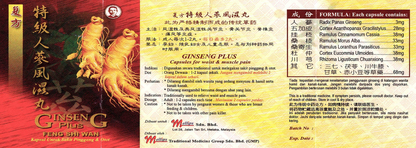 Ginseng Plus Feng Shi Wan 复方特效人参风湿丸 - Indochina Ginseng 印支参茸