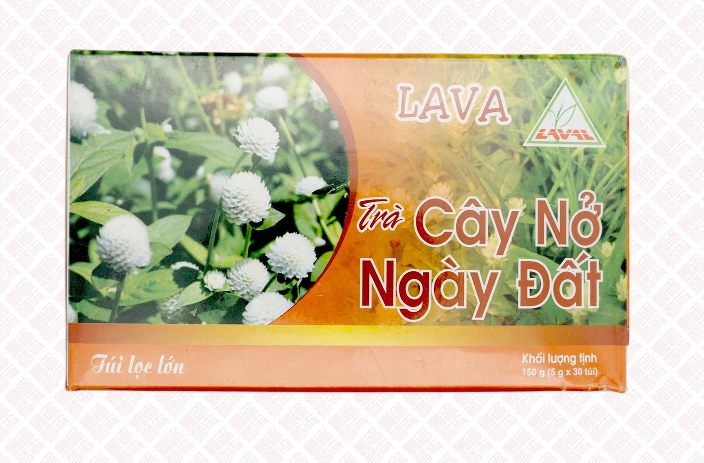 LAVA Gout Tea Trà Nở Ngày Đất 风湿茶 - Indochina Ginseng 印支参茸